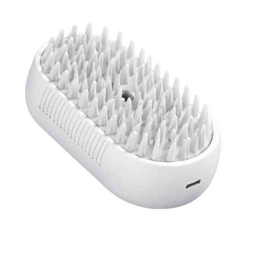 Steam Brush